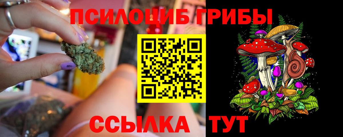 Галлюциногенные грибы прущие грибы  Вход с VPN  Галлюциногенные грибы Psilocybe  Сыктывкар 