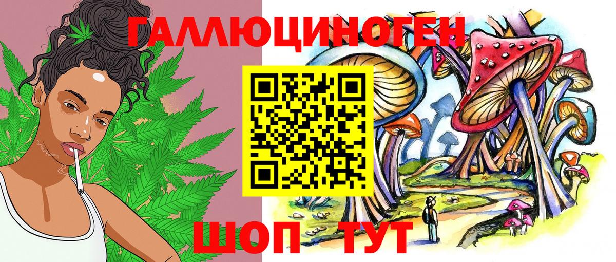Галлюциногенные грибы мухоморы Сыктывкар